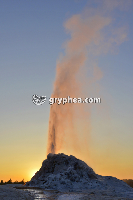 Geyser - White Dome Geyser (Yellowstone NP, USA) - gryphea.com